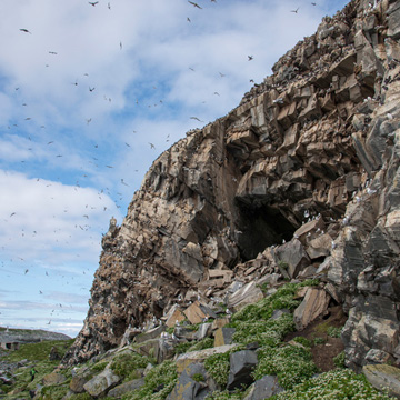 Cliffs on Hornøya