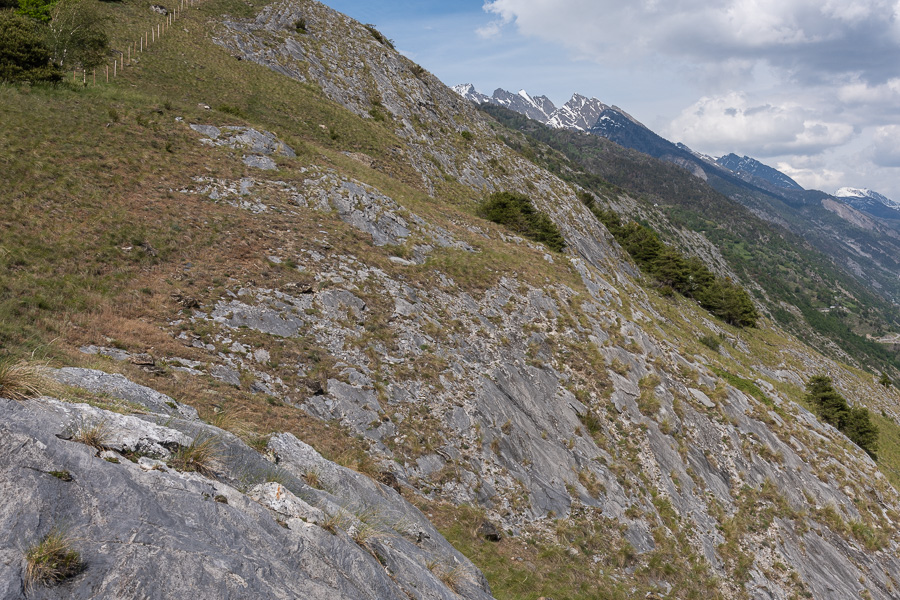 Felsensteppe