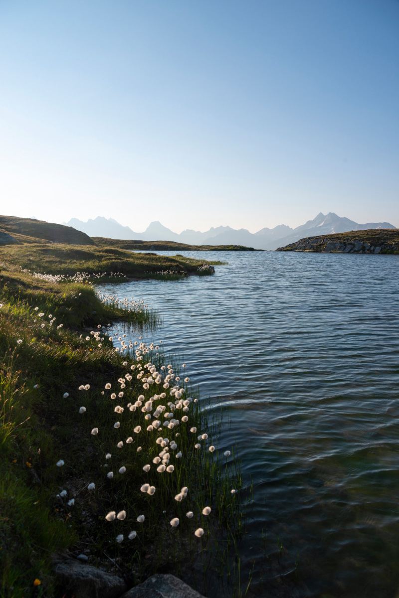 Jostsee