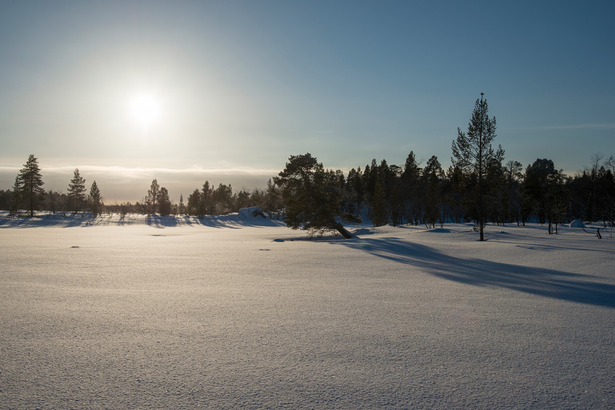 Gefrorener Jänisjärvi