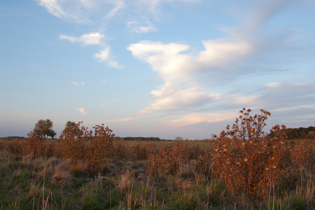 Puszta in the Hortobágy National Park