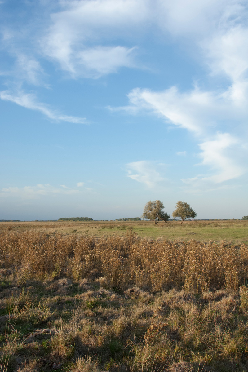 Puszta in the Hortobágy National Park