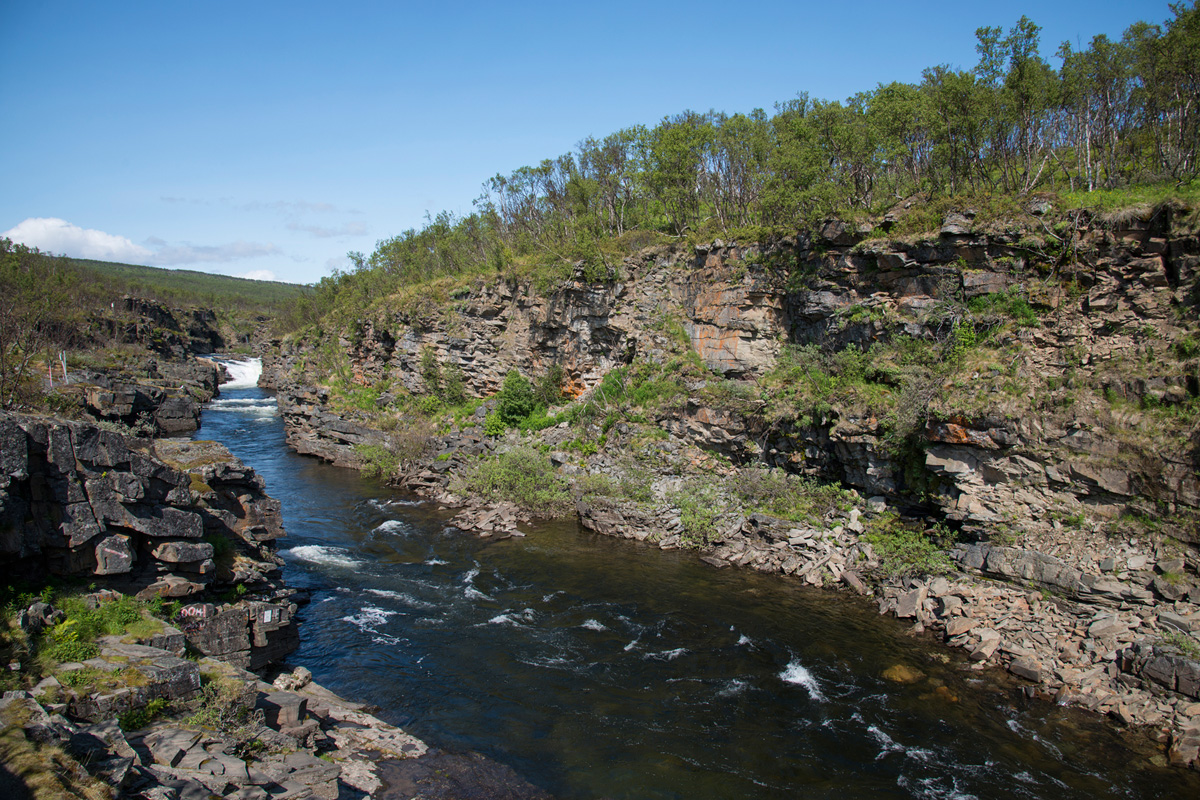 Jakobselva