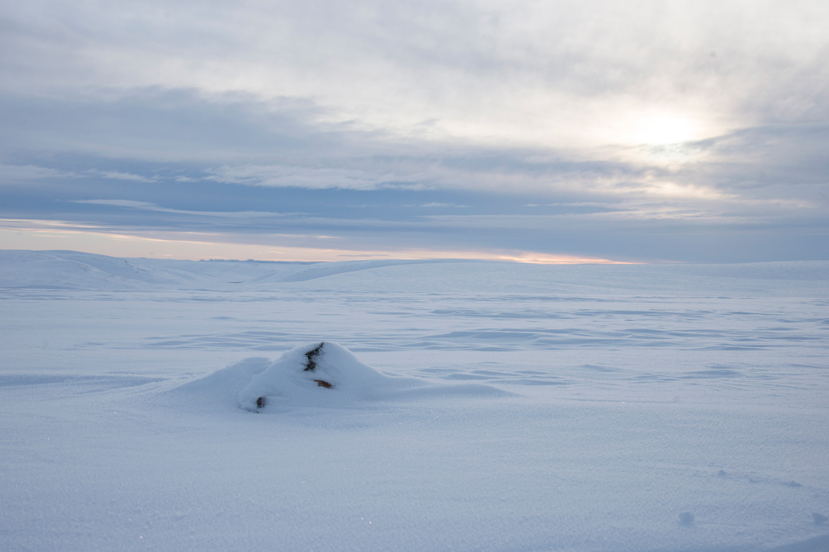 Varanger-Halbinsel im Winter