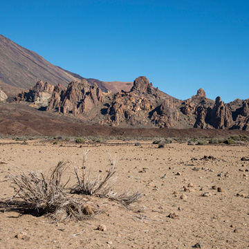 Roques de García