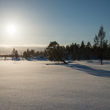 Gefrorener Jänisjärvi