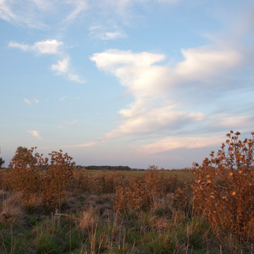 Puszta in the Hortobágy National Park