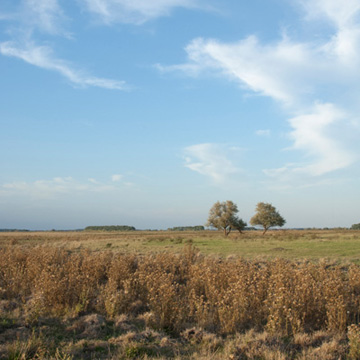 Puszta in the Hortobágy National Park