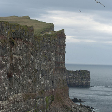 Látrabjarg