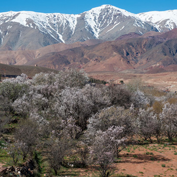 High Atlas