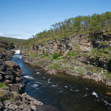 Jakobselva