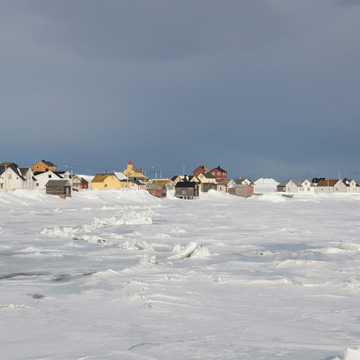 Skallelv im Winter