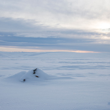 Varanger peninsula in winter