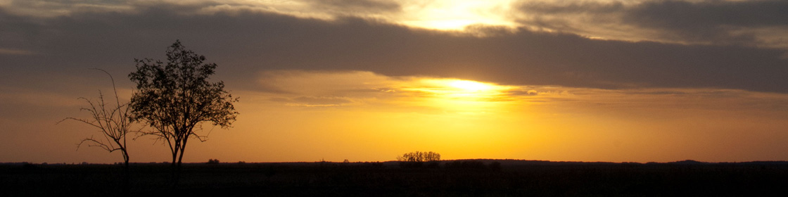 Sunset over the Puszta